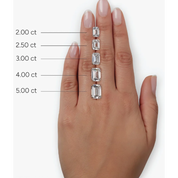 Precision Accent Diamonds ring