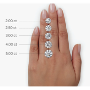 Round  Three-Stone Bridal